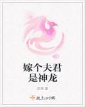 嫁个夫君是神龙570章