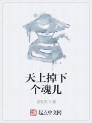 天上掉下个儿子gl