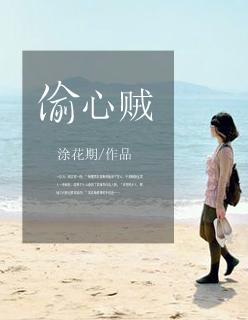 偷心贼短剧