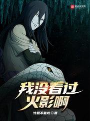看火影的不看海贼