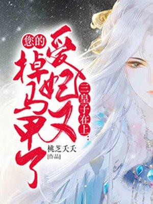 三皇子爱上宫女