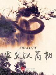 家父汉高祖TⅹT