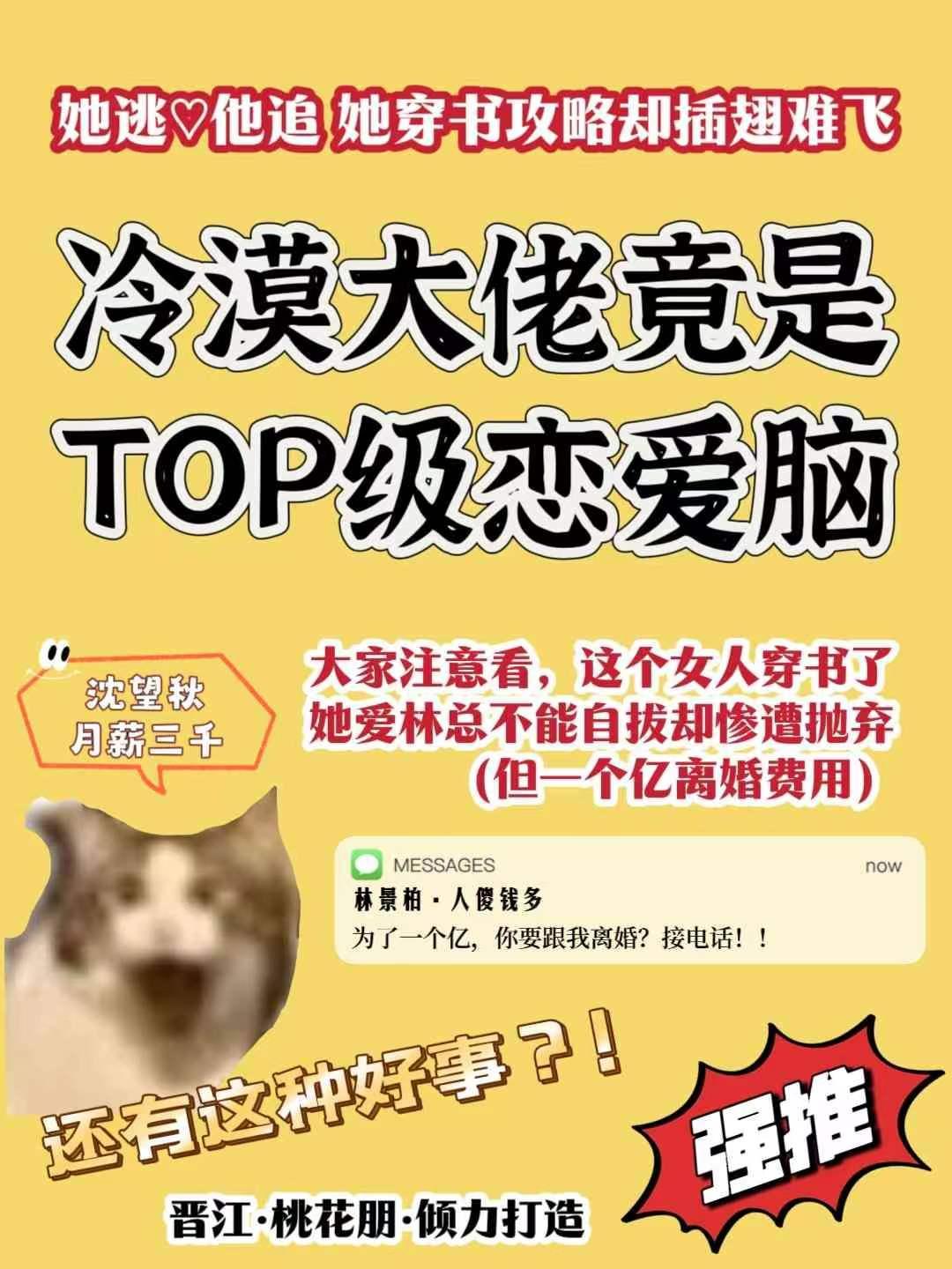 冷漠大佬的掌心宠全文免费阅读