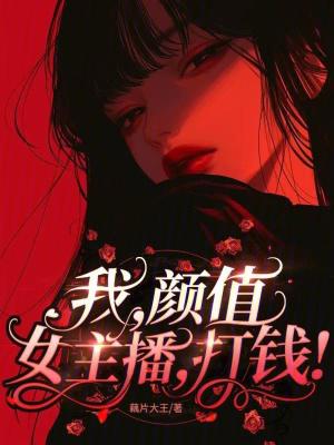 我颜值女主播打钱txt