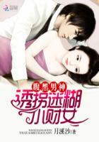 腹黑诱拐小萌妻