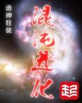 混沌进化优化算法解析